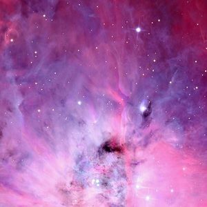 Meet your Posher, Ashlee